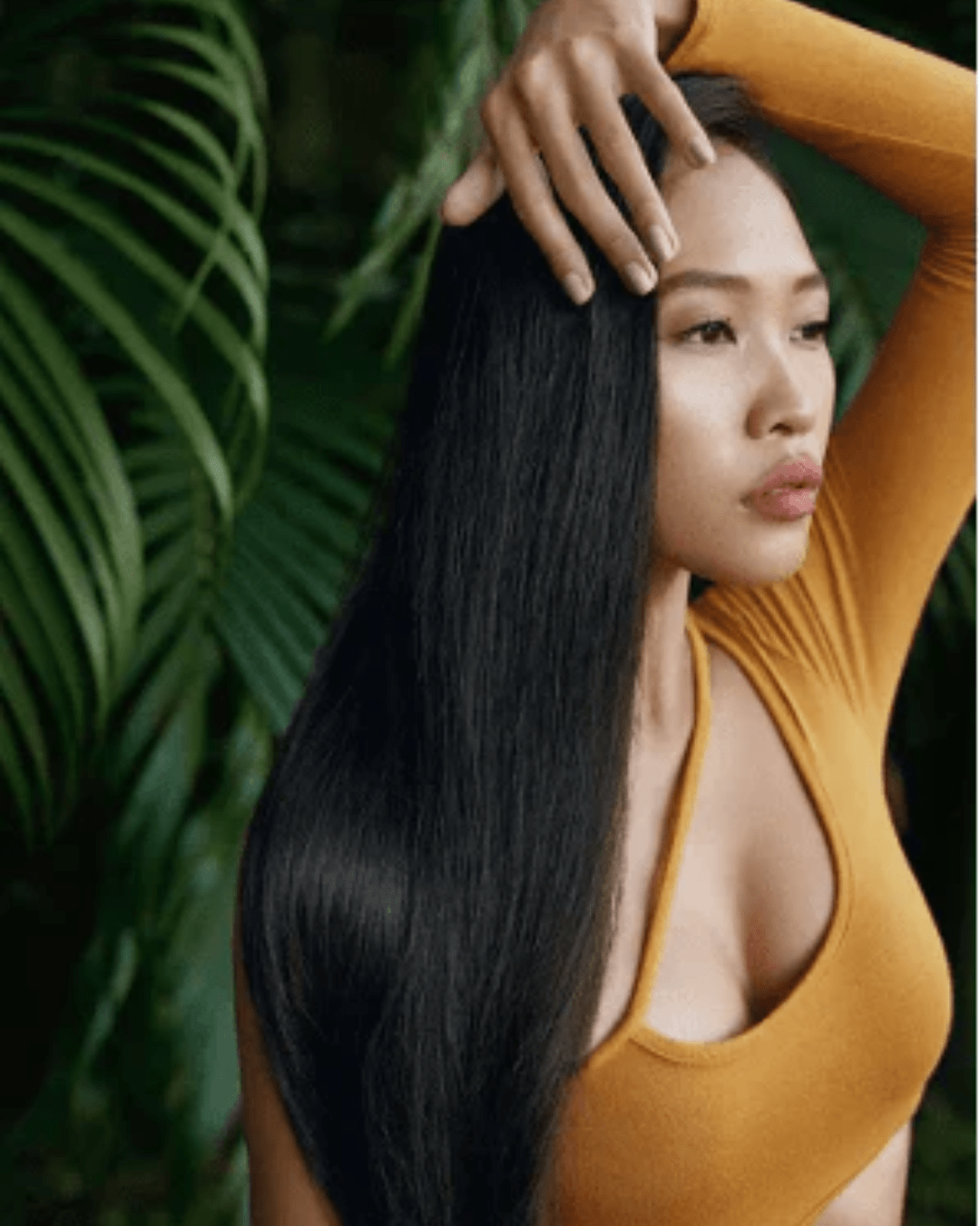 Les produits naturels indispensables pour les cheveux lisses