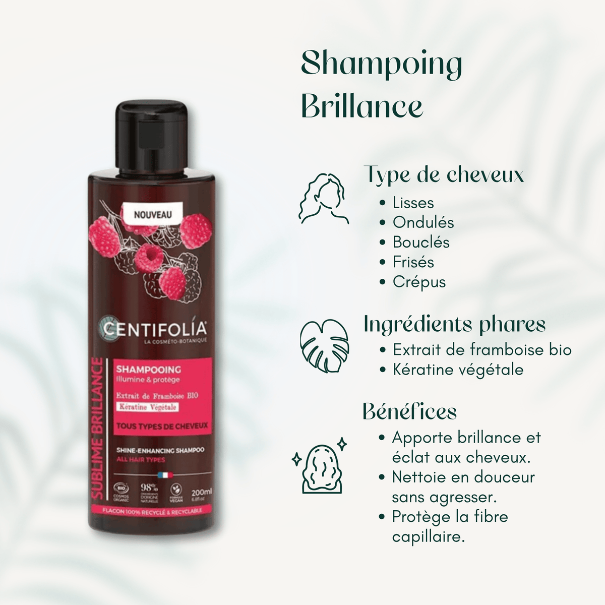 Shampoing Brillance