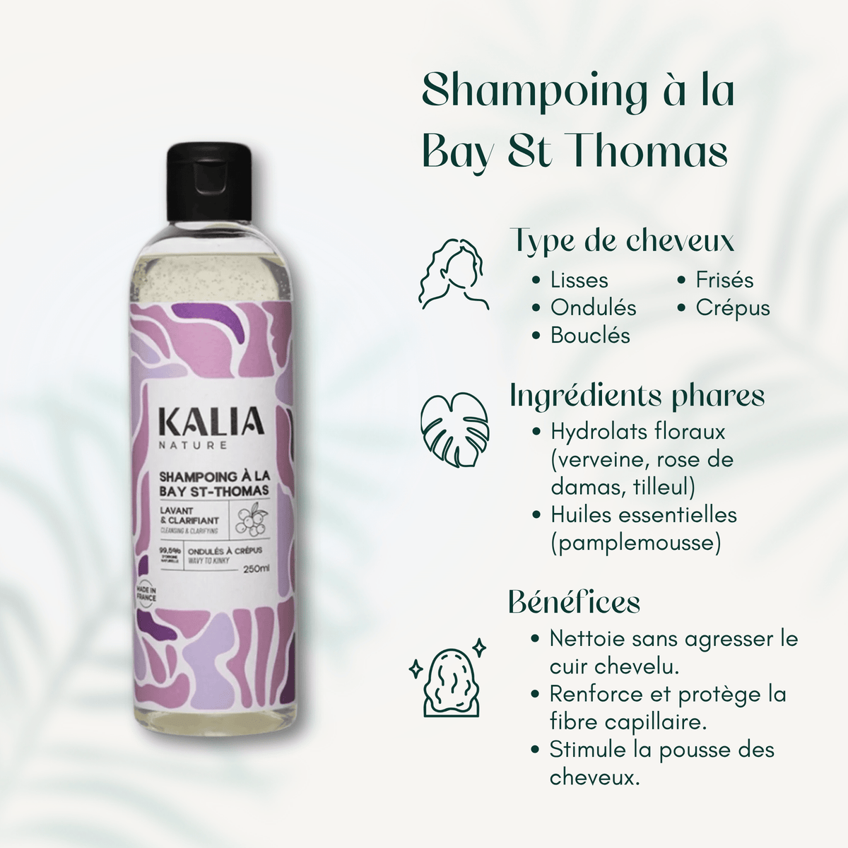 Shampoing à la Bay St Thomas