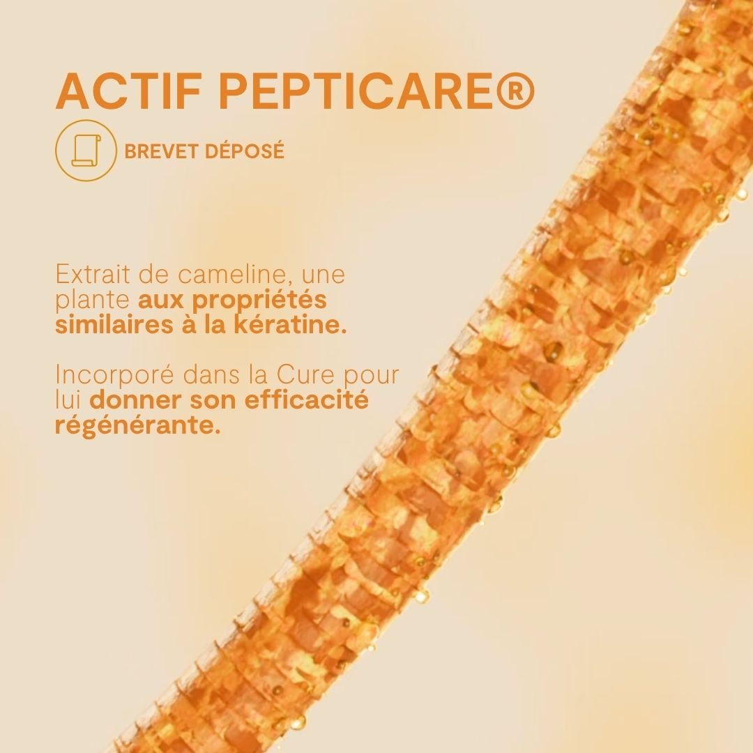 Shampoing Réparateur