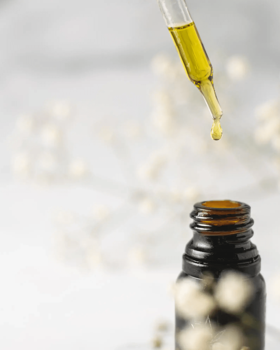 Comment prendre soin de ses cheveux grâce à l'huile de jojoba ?