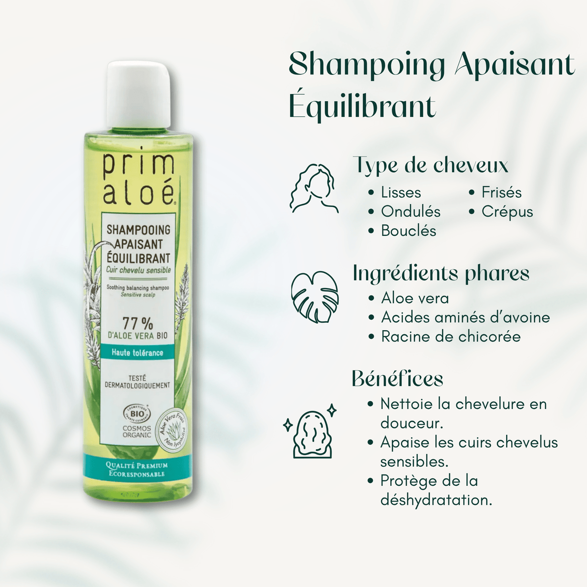Shampoing Apaisant Équilibrant