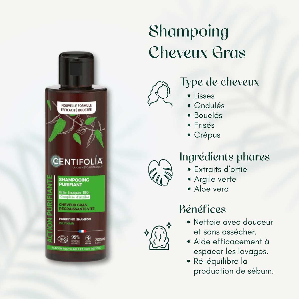 Shampoing Cheveux Gras