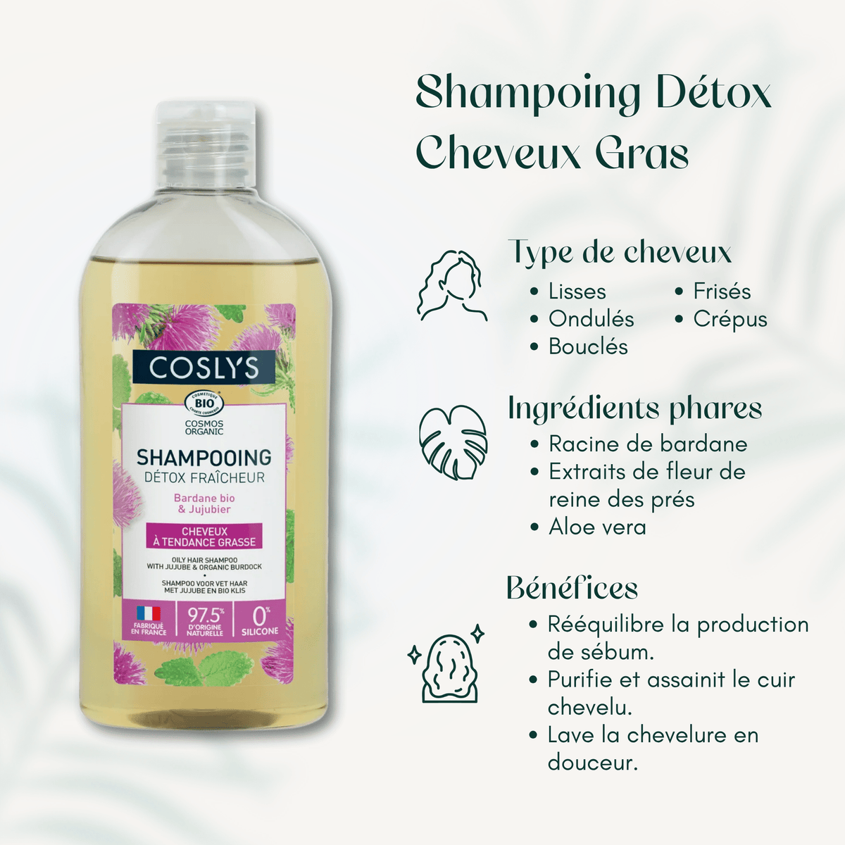 Shampoing Détox Cheveux Gras