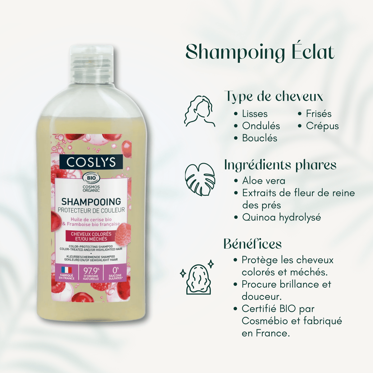 Shampoing Éclat