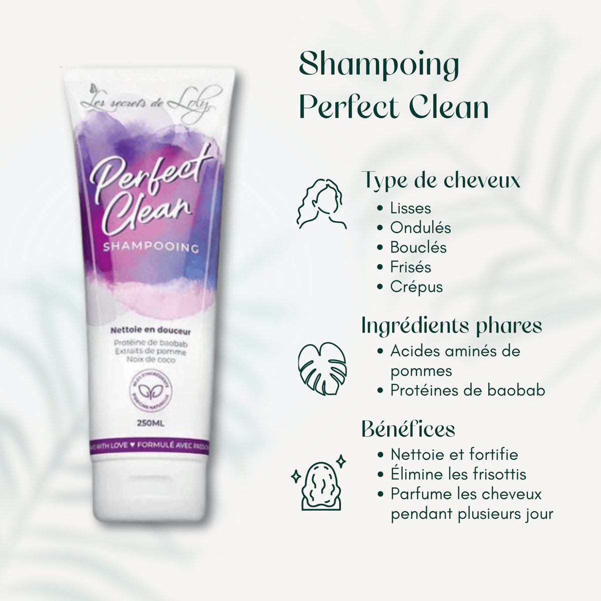 Shampoing Perfect Clean