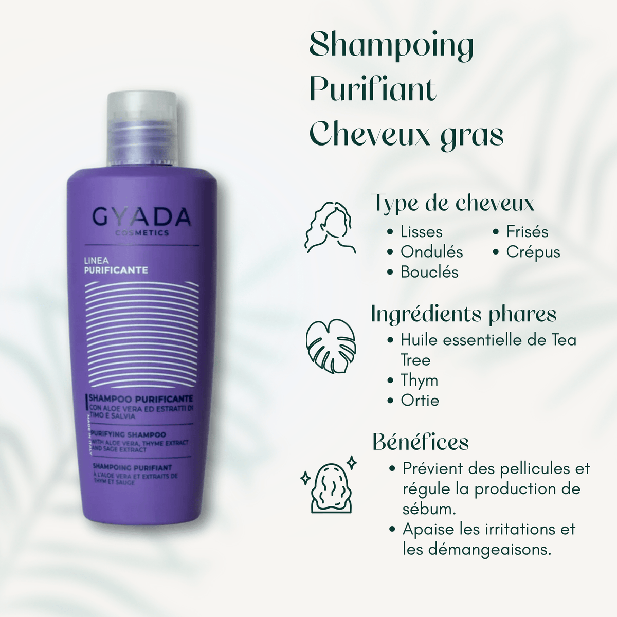Shampoing Purifiant Cheveux gras