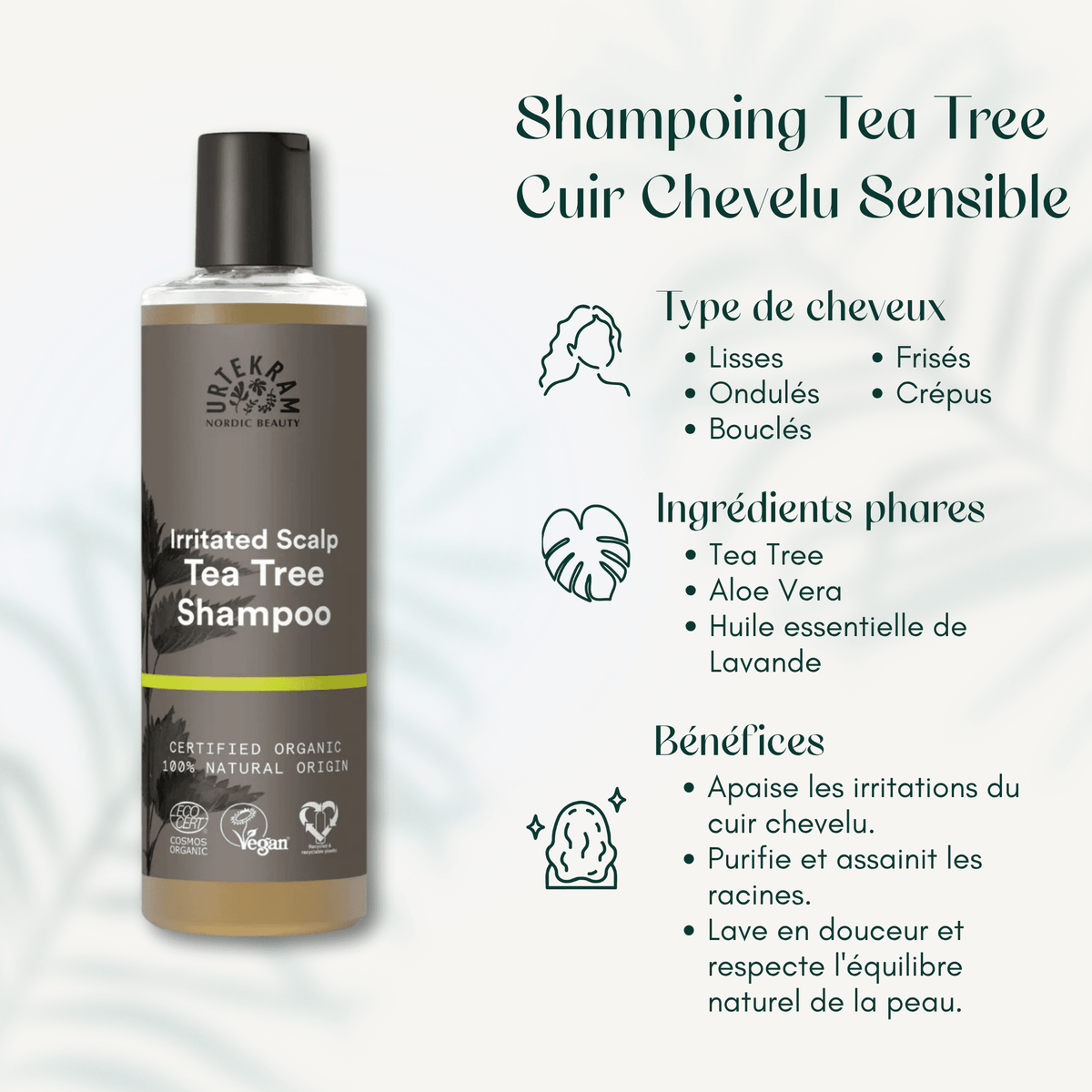 Shampoing Tea Tree Cuir Chevelu Sensible