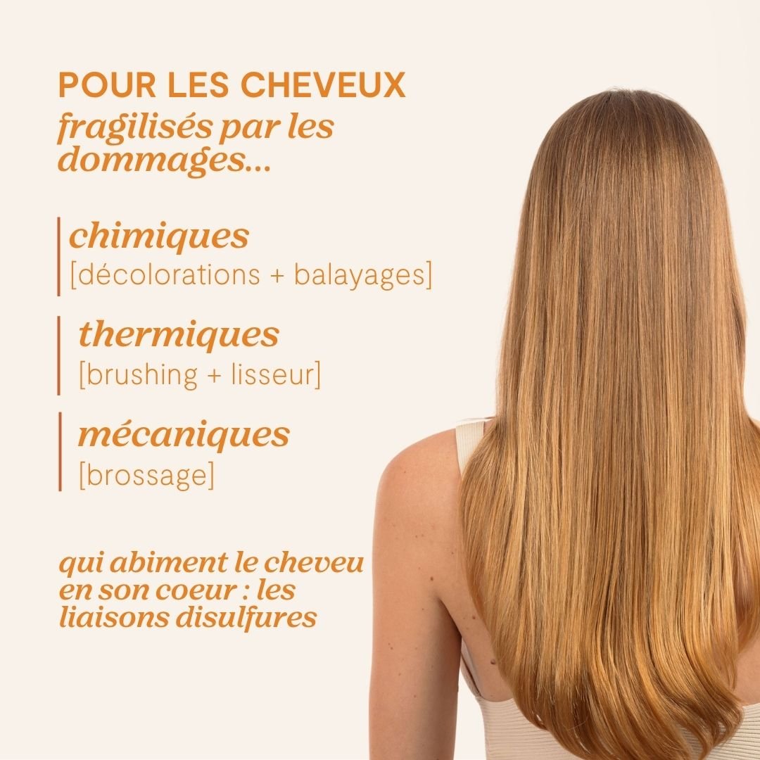 Shampoing Réparateur