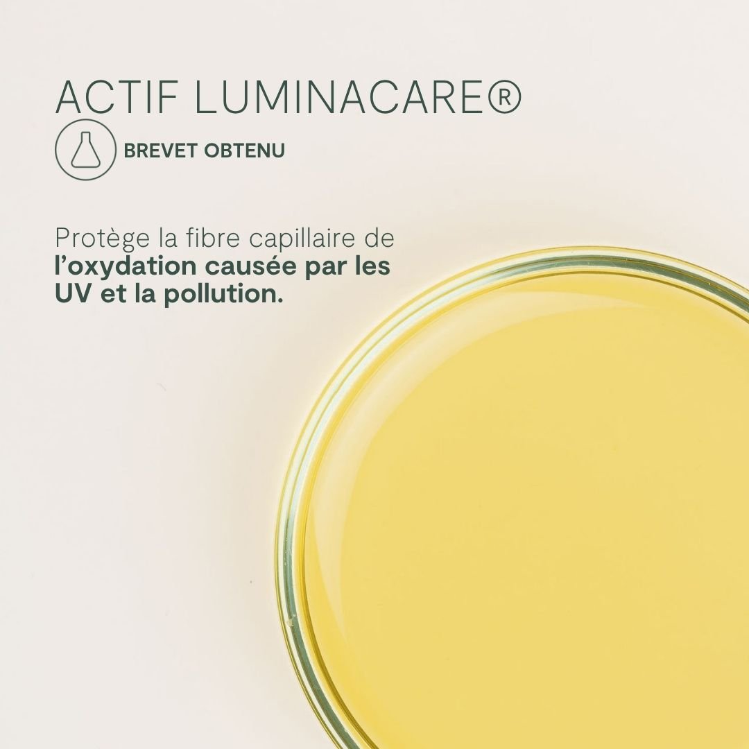 Shampoing Purifiant